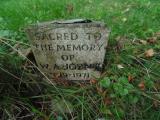 image of grave number 532353